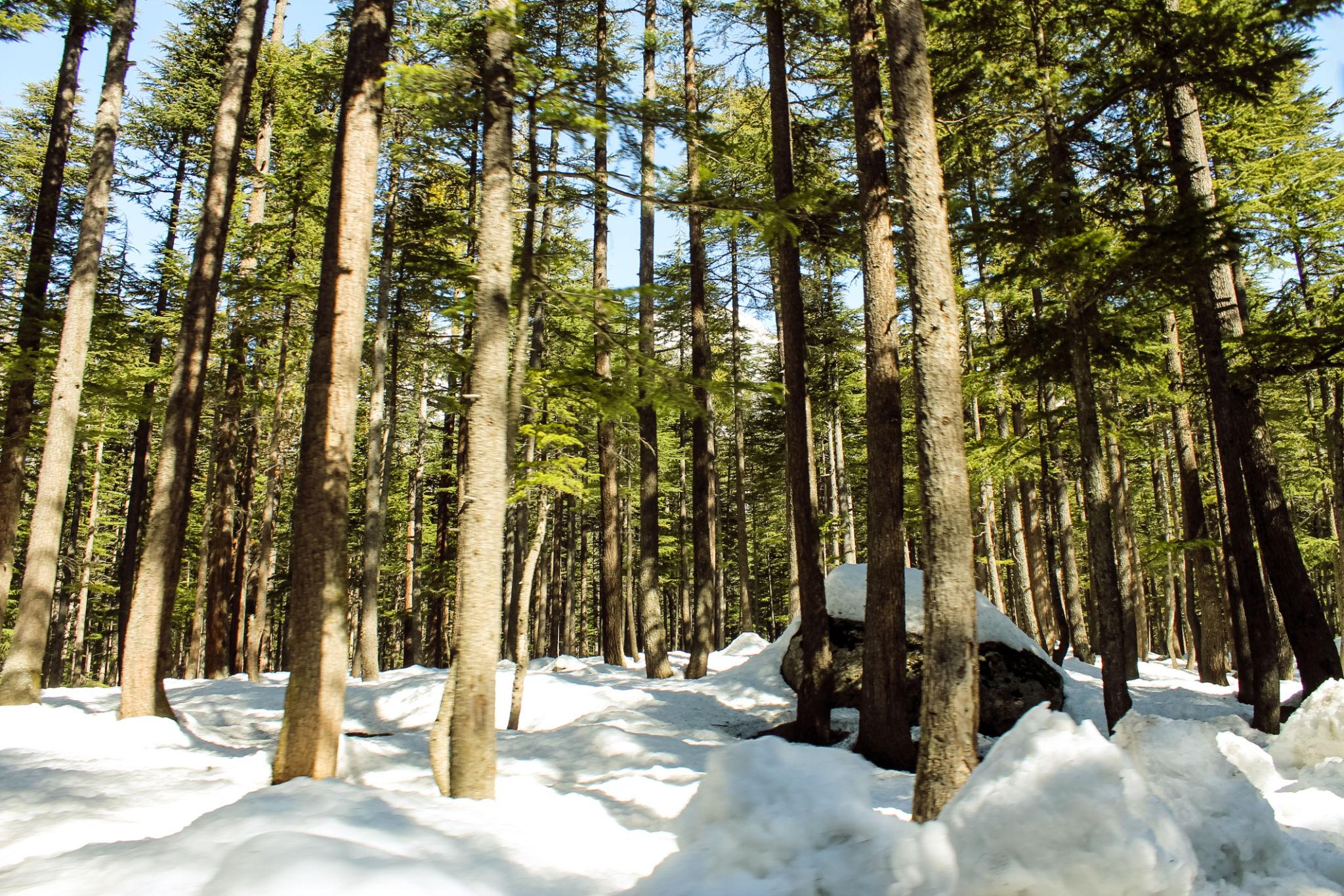 Eid Special – 04 Days Swat, Kalam and Malam Jabba - Image 1